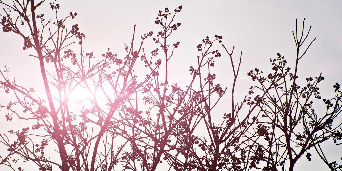 Exploring the Future of AI Automation: Your Gateway to Innovation - Learn more about this AI topic on AI Made